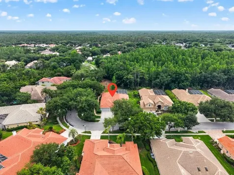 17912 Arbor Haven Drive Tampa FL 33647