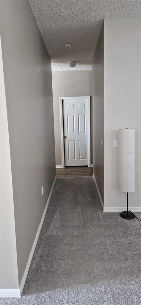 5344 Coral Vine Lane Kissimmee FL 34758