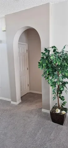 5344 Coral Vine Lane Kissimmee FL 34758