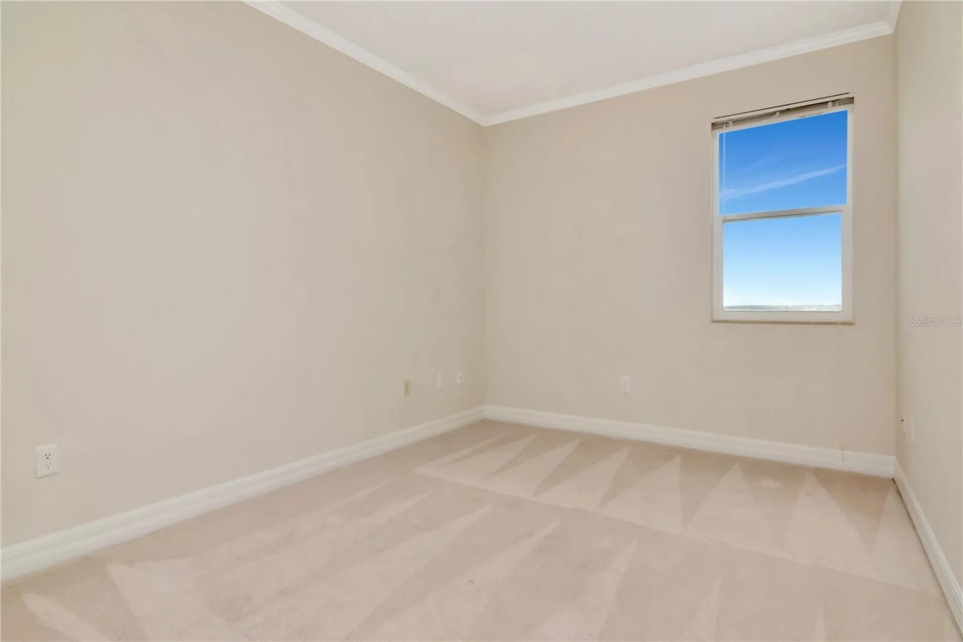 4516 Seagull Drive New Port Richey FL 34652