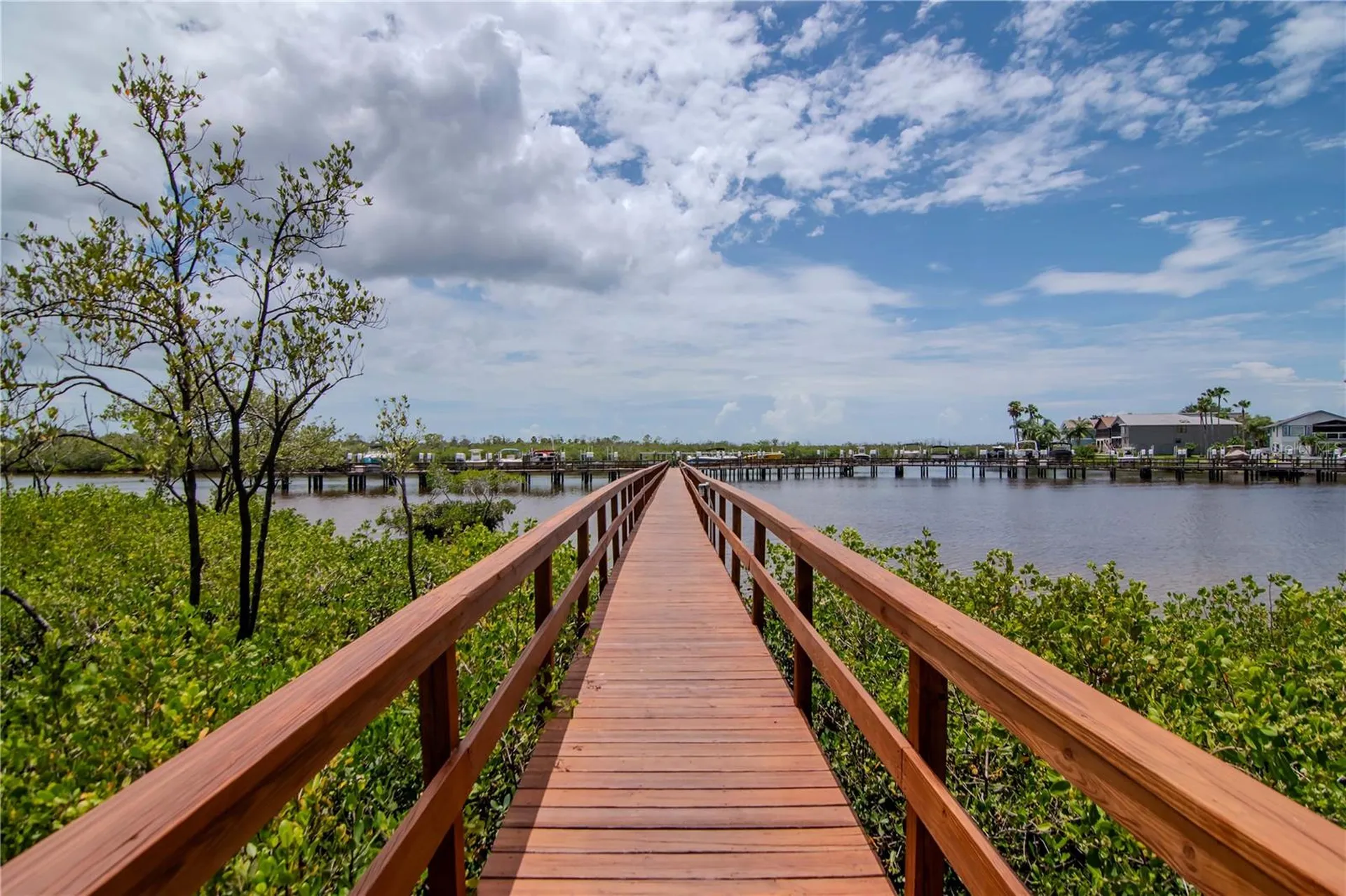 4516 Seagull Drive New Port Richey FL 34652