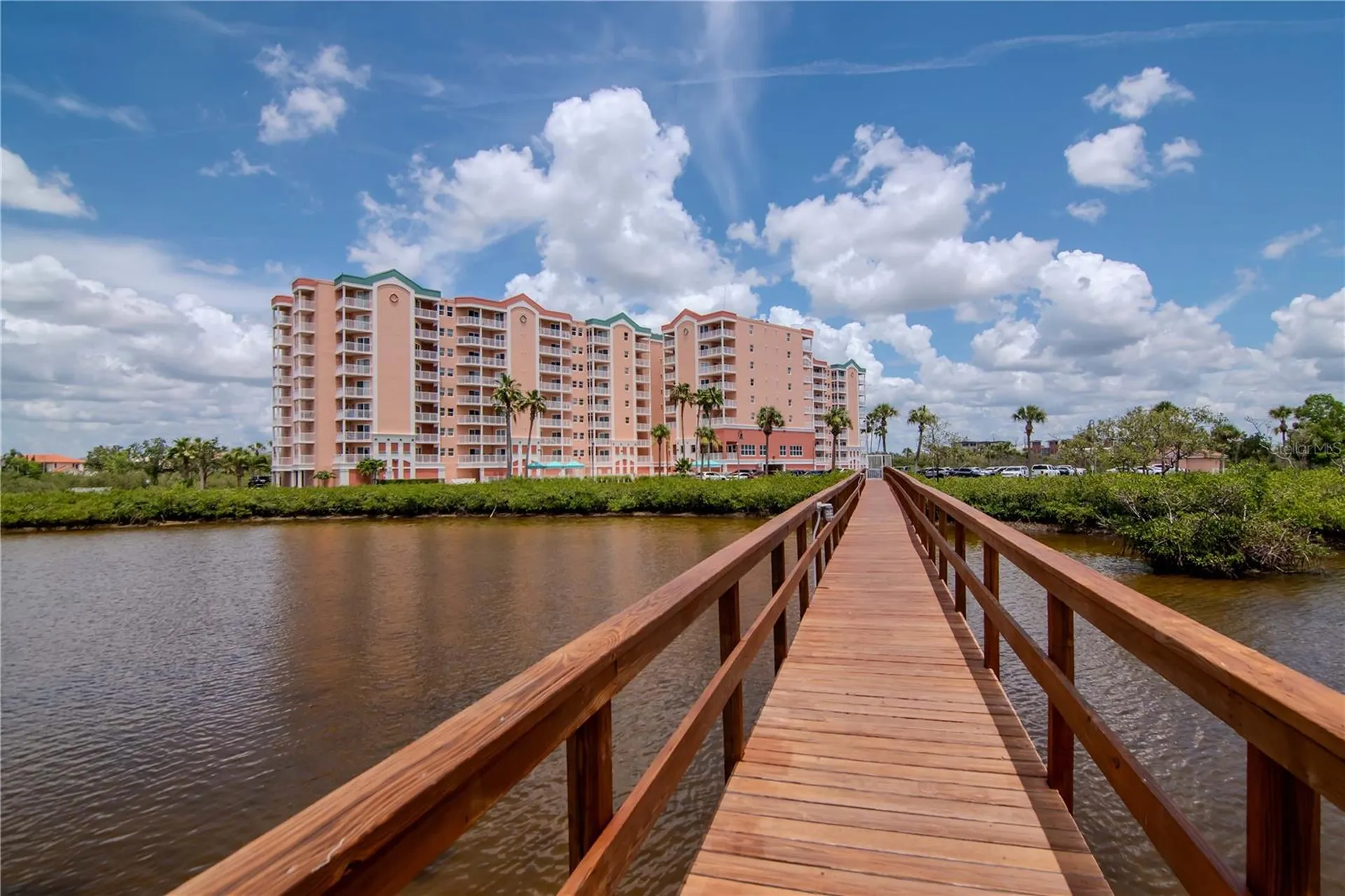 4516 Seagull Drive New Port Richey FL 34652