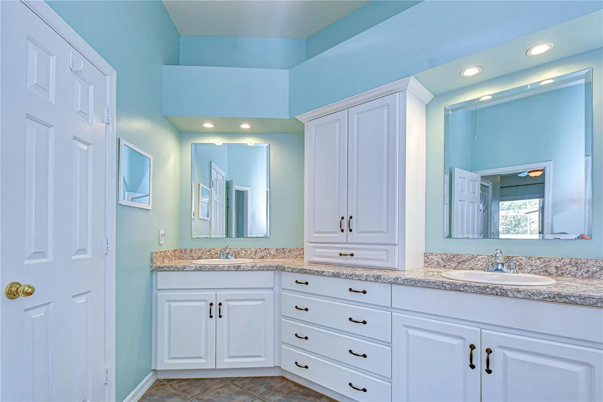 4609 Compass Oaks Drive Valrico FL 33596