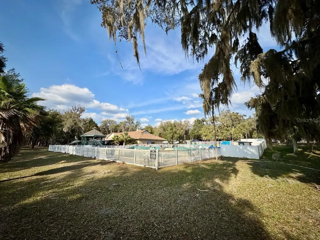 25232 NE 143rd Street Salt Springs FL 32134
