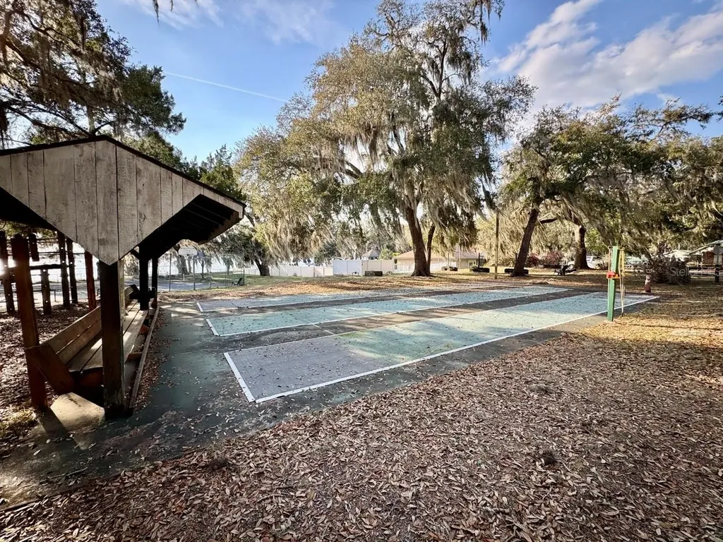 25232 NE 143rd Street Salt Springs FL 32134