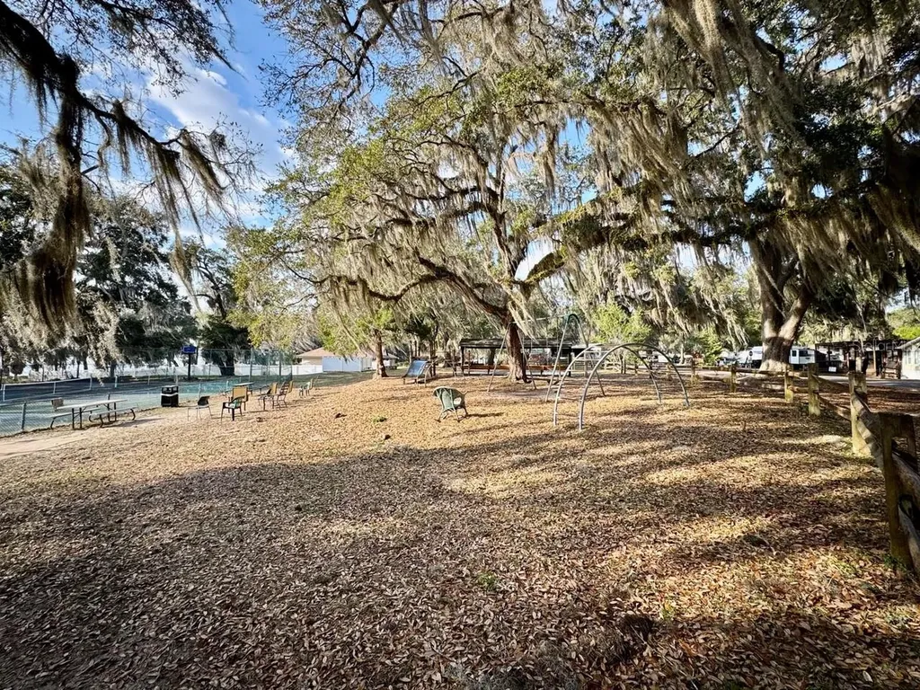 25232 NE 143rd Street Salt Springs FL 32134
