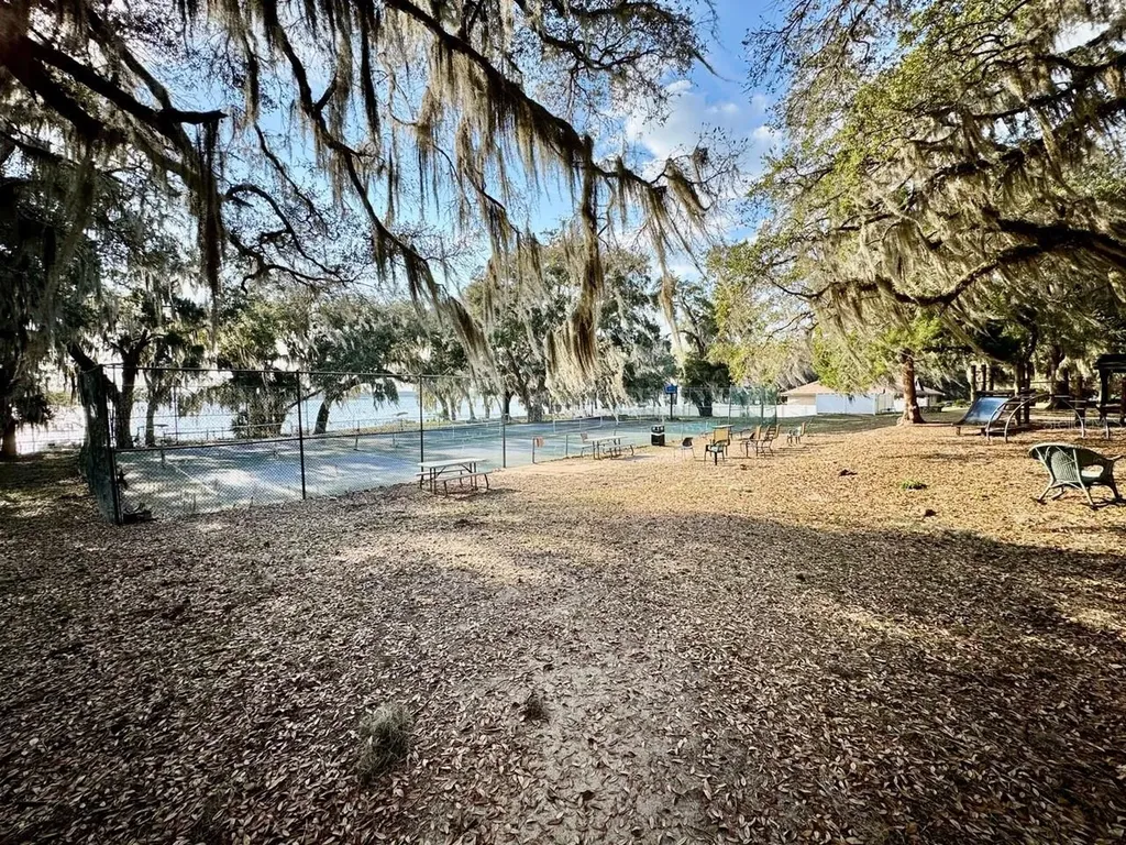 25232 NE 143rd Street Salt Springs FL 32134