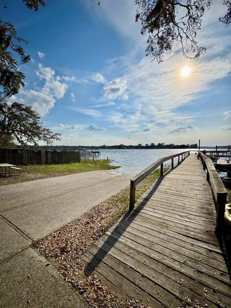 25232 NE 143rd Street Salt Springs FL 32134