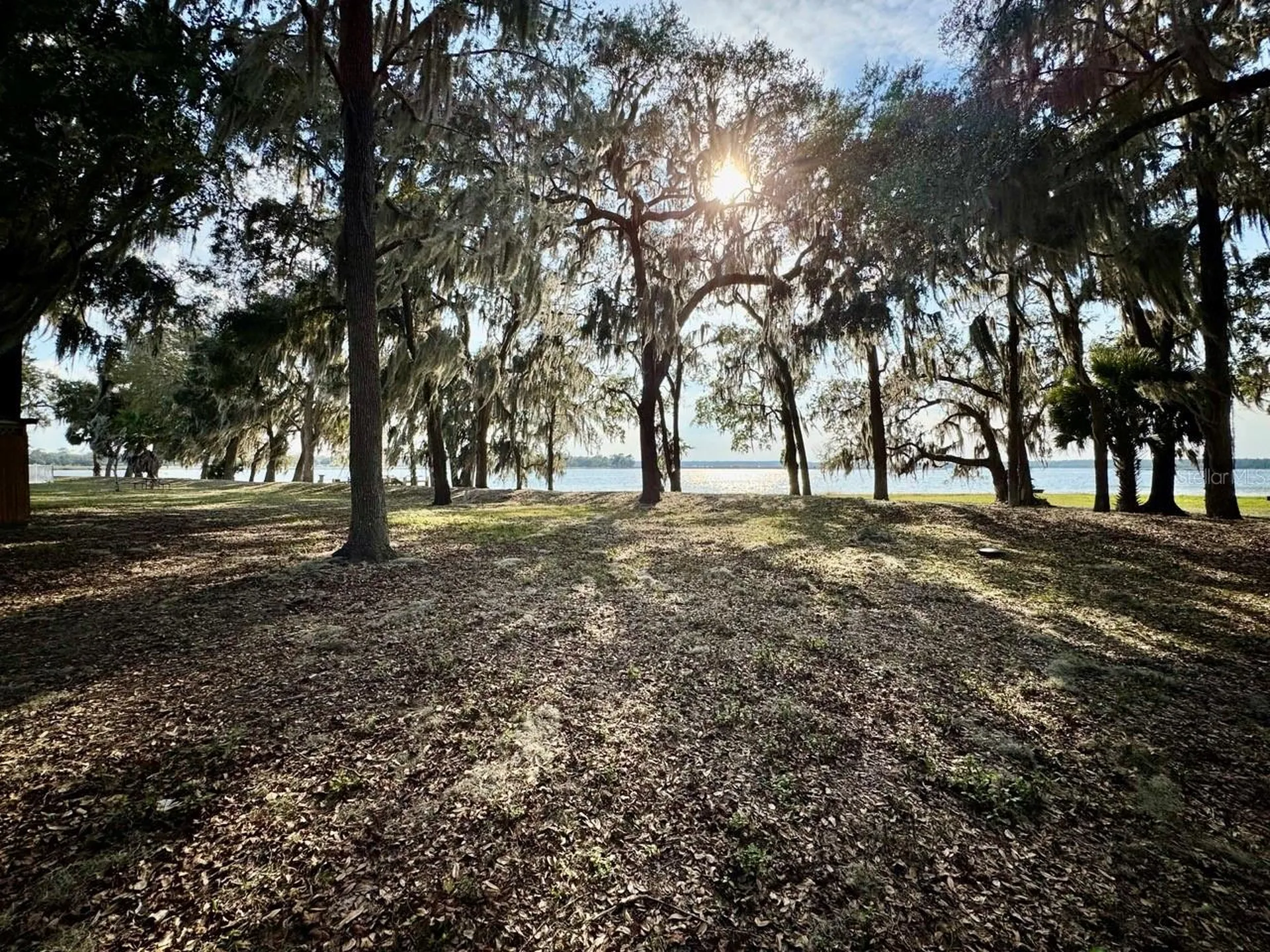 25232 NE 143rd Street Salt Springs FL 32134