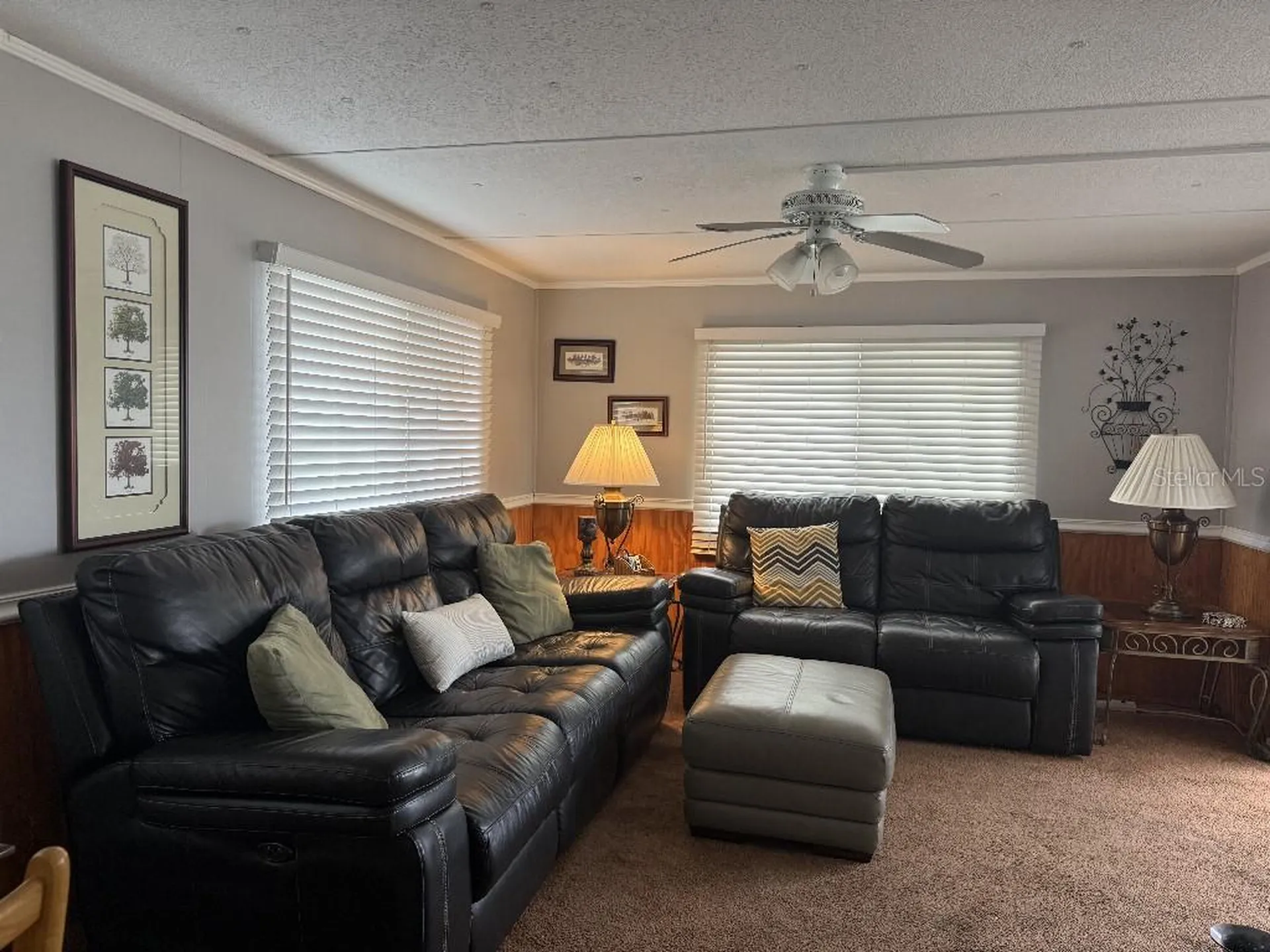 104 Dove Road Clearwater FL 33764