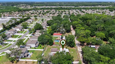 21128 Niles Avenue Mount Dora FL 32757