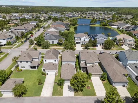 2542 Claymore Street Odessa FL 33556