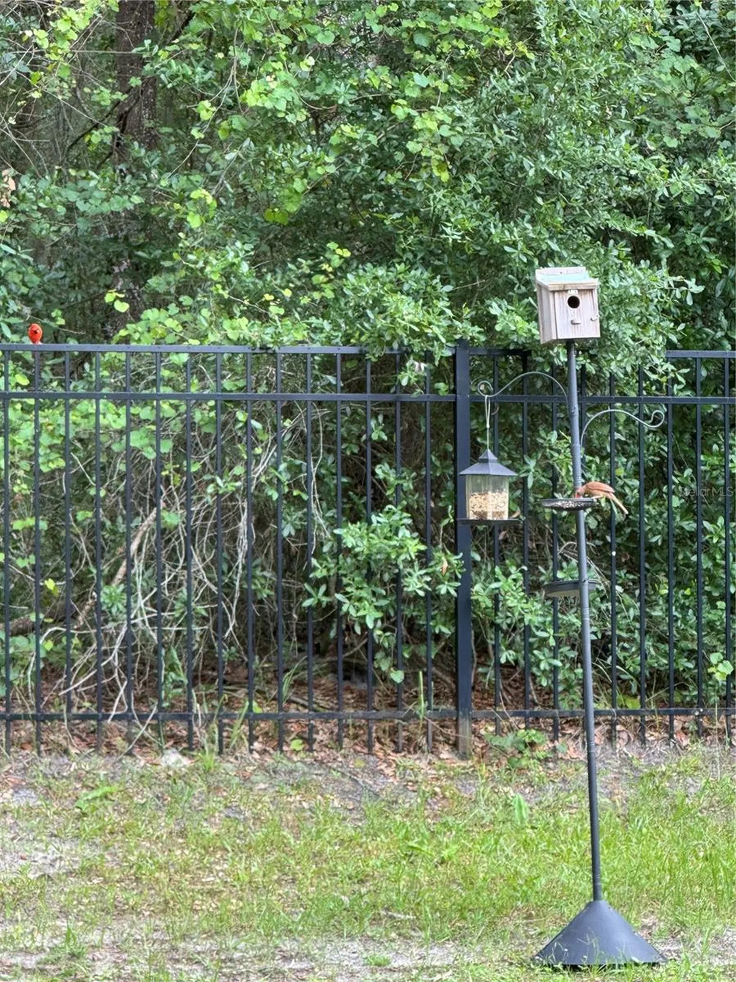 325 Charles Drive Deland FL 32724