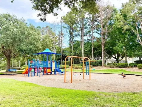 11326 Ledgement Lane Windermere FL 34786