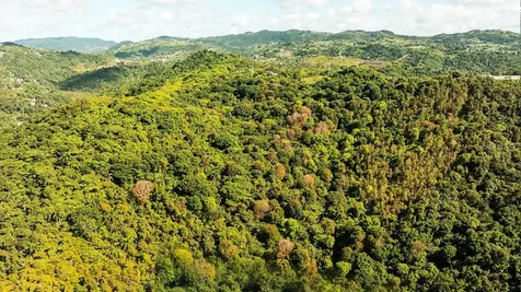 Carr 853 Bo. Cacao Lote 15 Carolina PR 00987