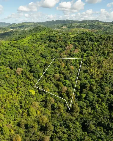 Carr 853 Bo. Cacao Lote 15 Carolina PR 00987