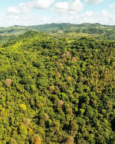 Carr 853 Bo. Cacao Lote 15 Carolina PR 00987