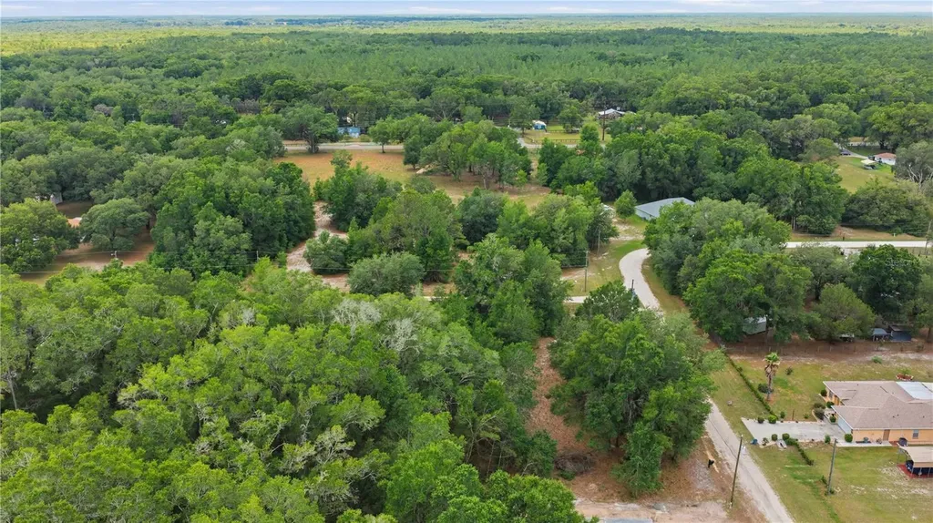 SW 131st Terrace Dunnellon FL 34432