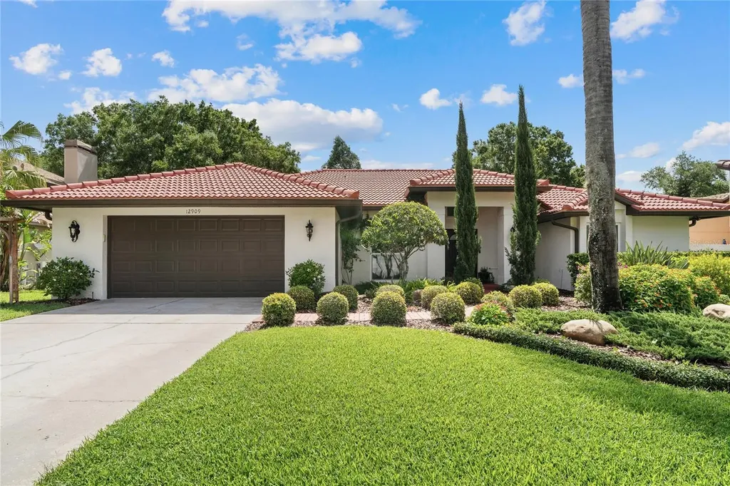 12909 Cinnimon Place Tampa FL 33624