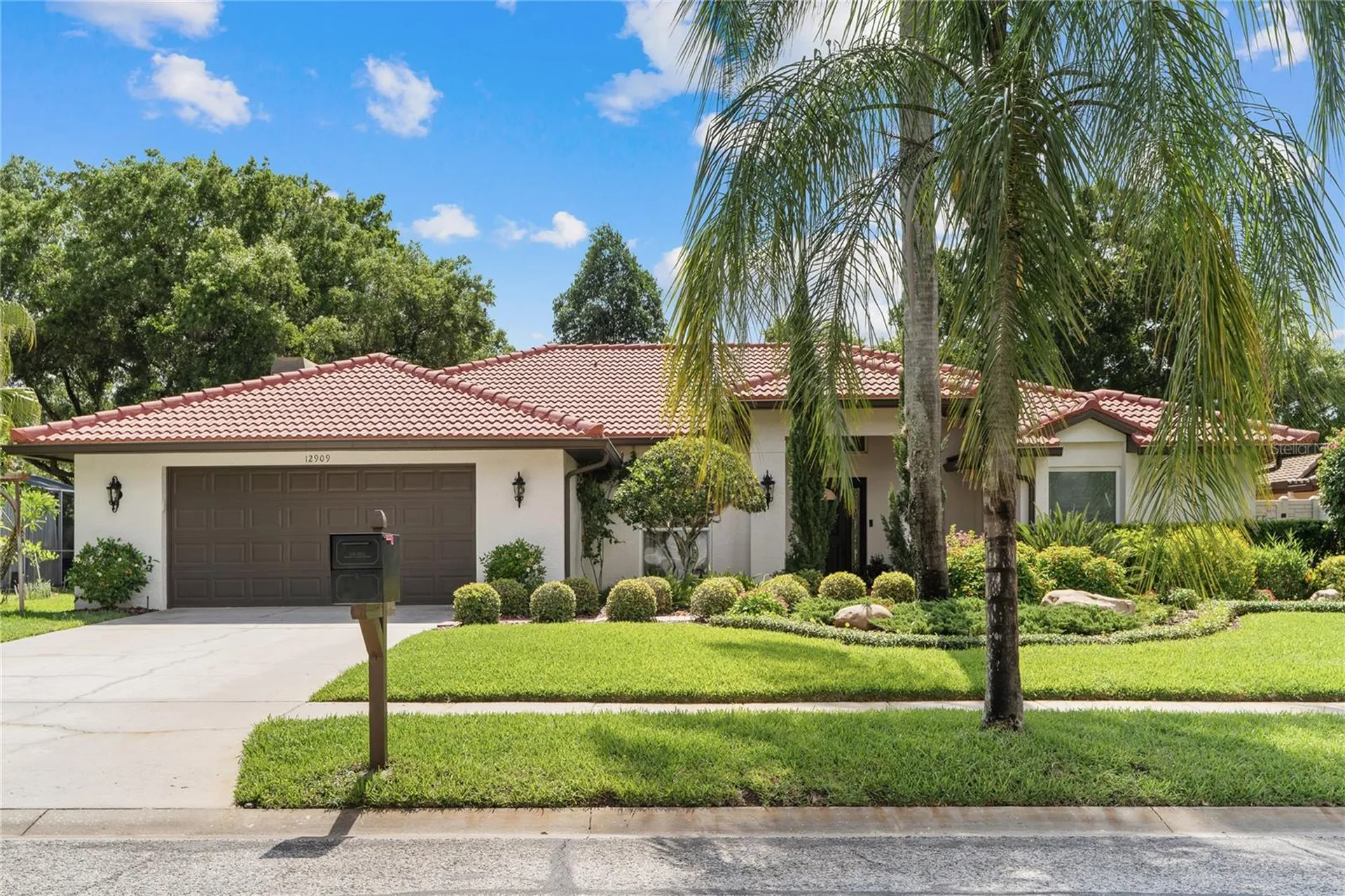12909 Cinnimon Place Tampa FL 33624