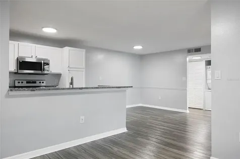214 Lake Parsons Green Brandon FL 33511