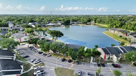 214 Lake Parsons Green Brandon FL 33511