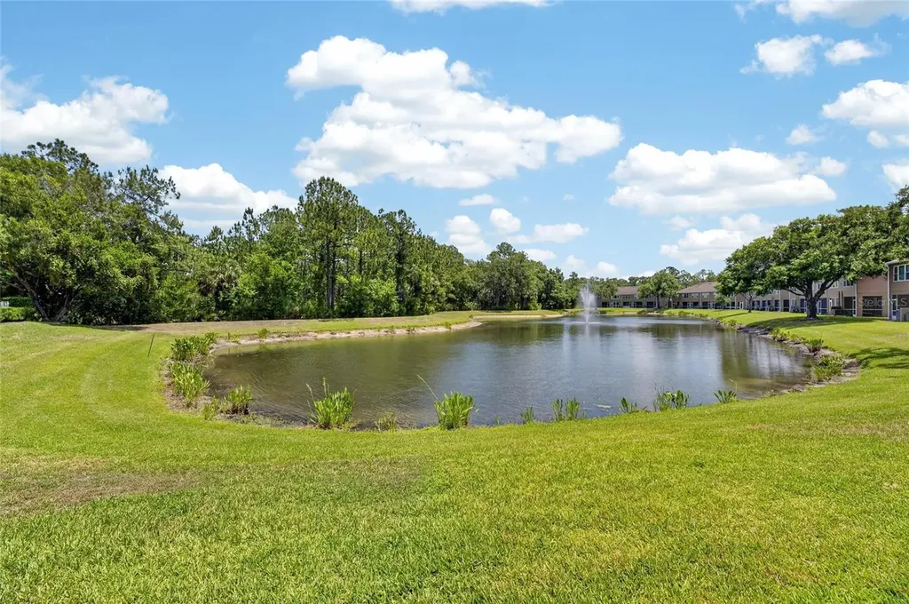 18947 Duquesne Drive Tampa FL 33647