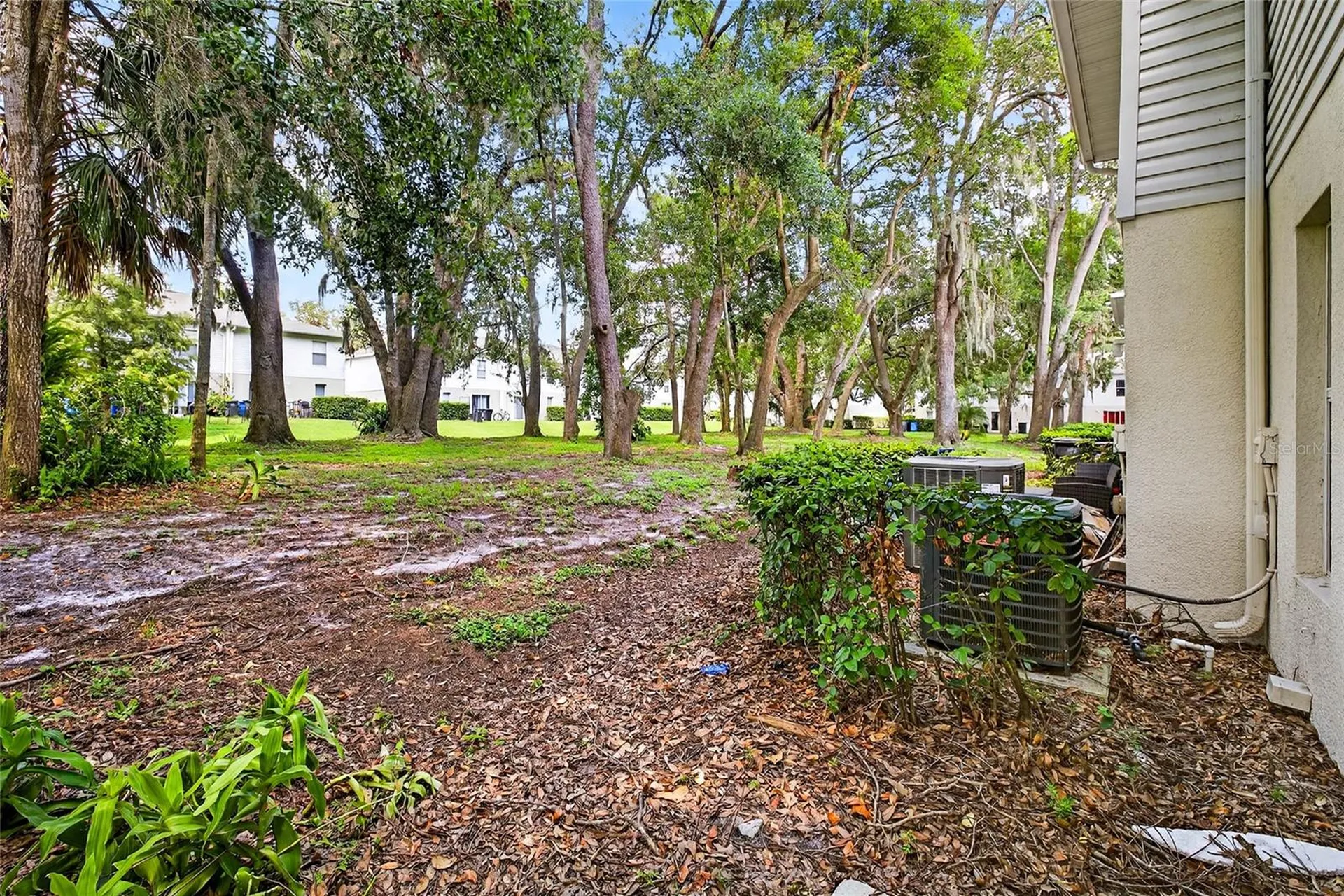 4656 Ashburn Square Drive Tampa FL 33610