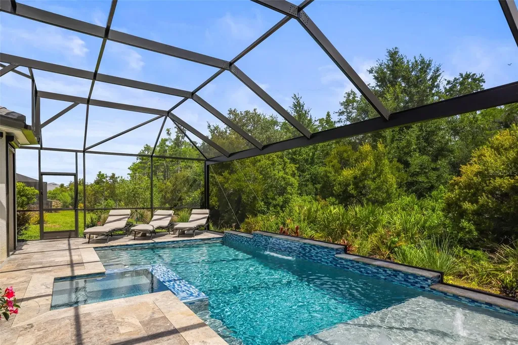 29719 Cassino Court Wesley Chapel FL 33543