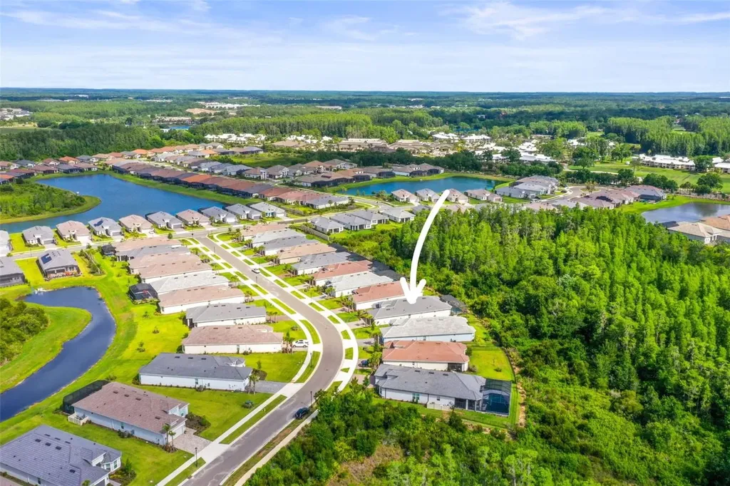 29719 Cassino Court Wesley Chapel FL 33543