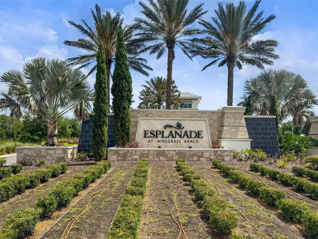 29719 Cassino Court Wesley Chapel FL 33543