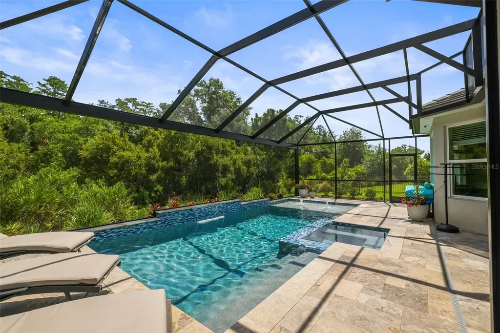 29719 Cassino Court Wesley Chapel FL 33543