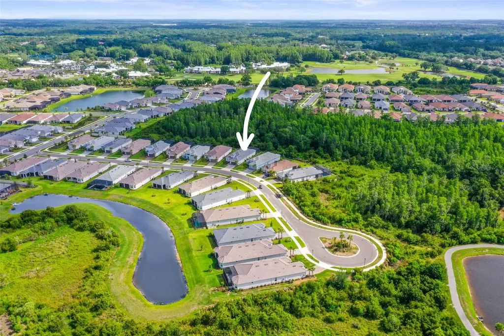 29719 Cassino Court Wesley Chapel FL 33543