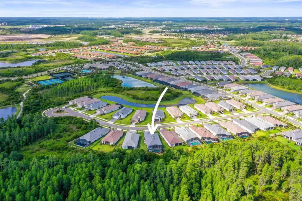 29719 Cassino Court Wesley Chapel FL 33543