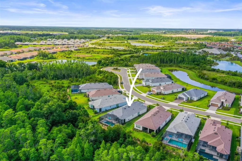 29719 Cassino Court Wesley Chapel FL 33543