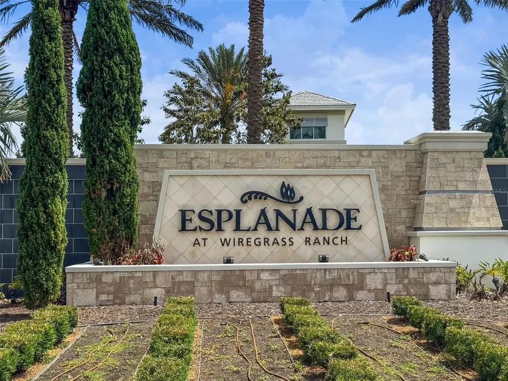 29719 Cassino Court Wesley Chapel FL 33543