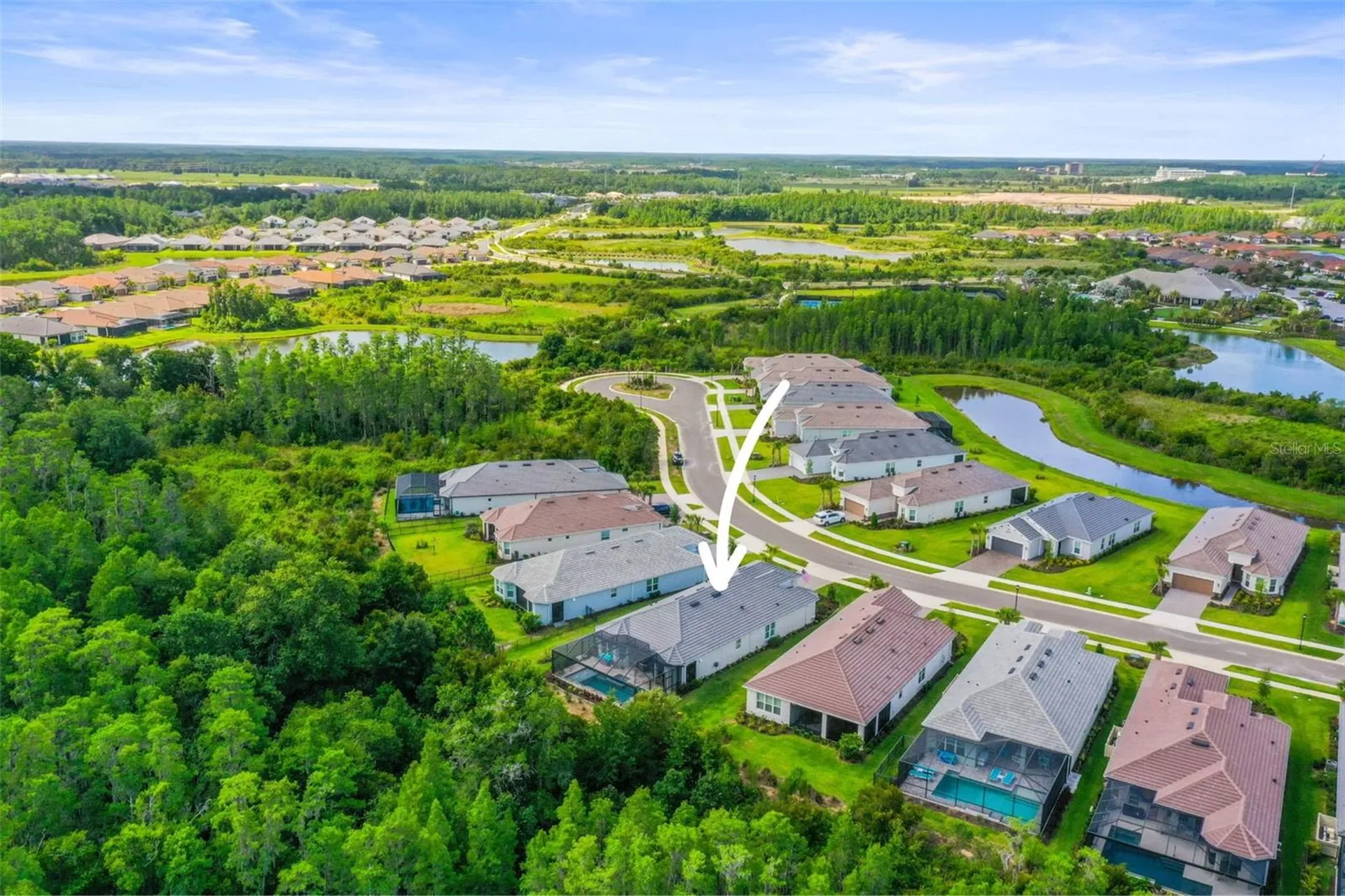 29719 Cassino Court Wesley Chapel FL 33543