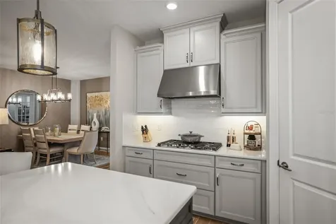 29719 Cassino Court Wesley Chapel FL 33543