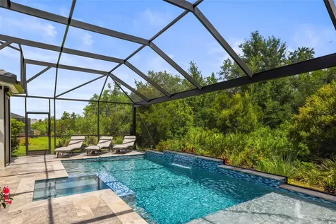 29719 Cassino Court Wesley Chapel FL 33543