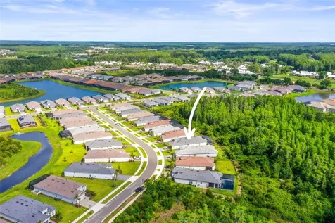 29719 Cassino Court Wesley Chapel FL 33543