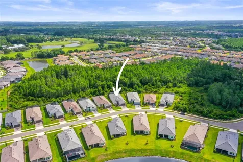 29719 Cassino Court Wesley Chapel FL 33543