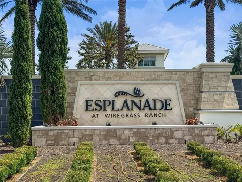 29719 Cassino Court Wesley Chapel FL 33543