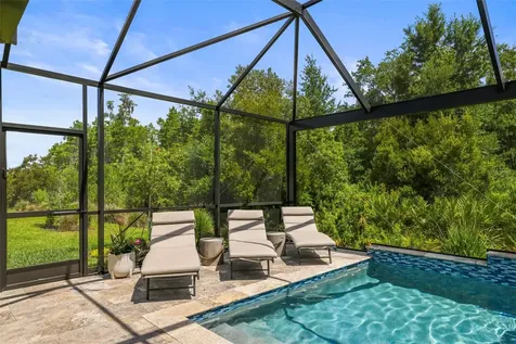 29719 Cassino Court Wesley Chapel FL 33543