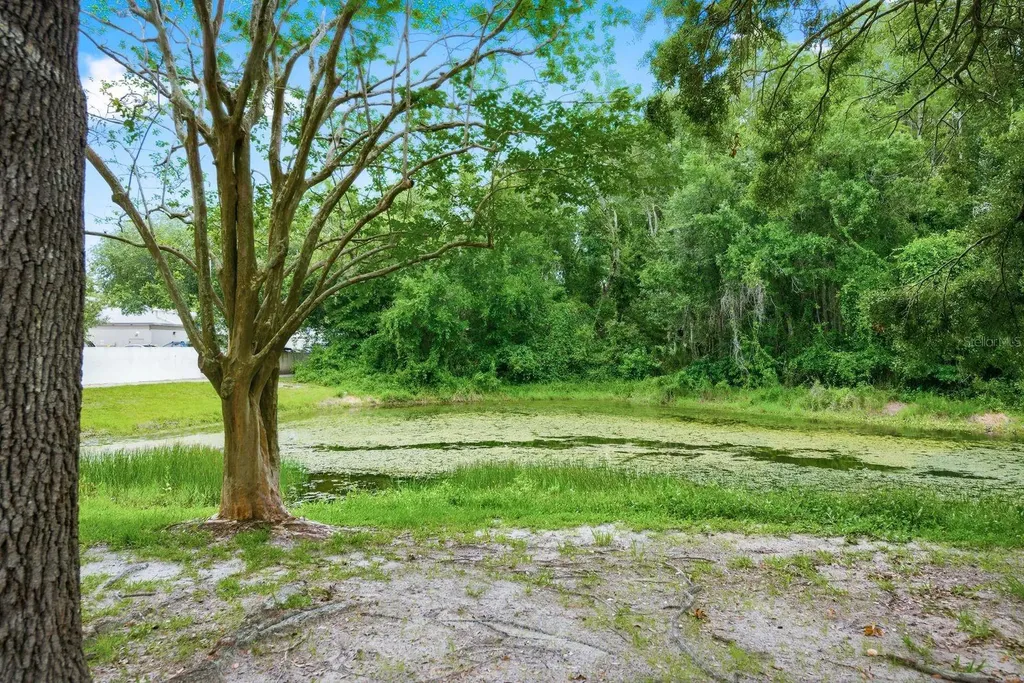 14219 Wellesley Drive Tampa FL 33624