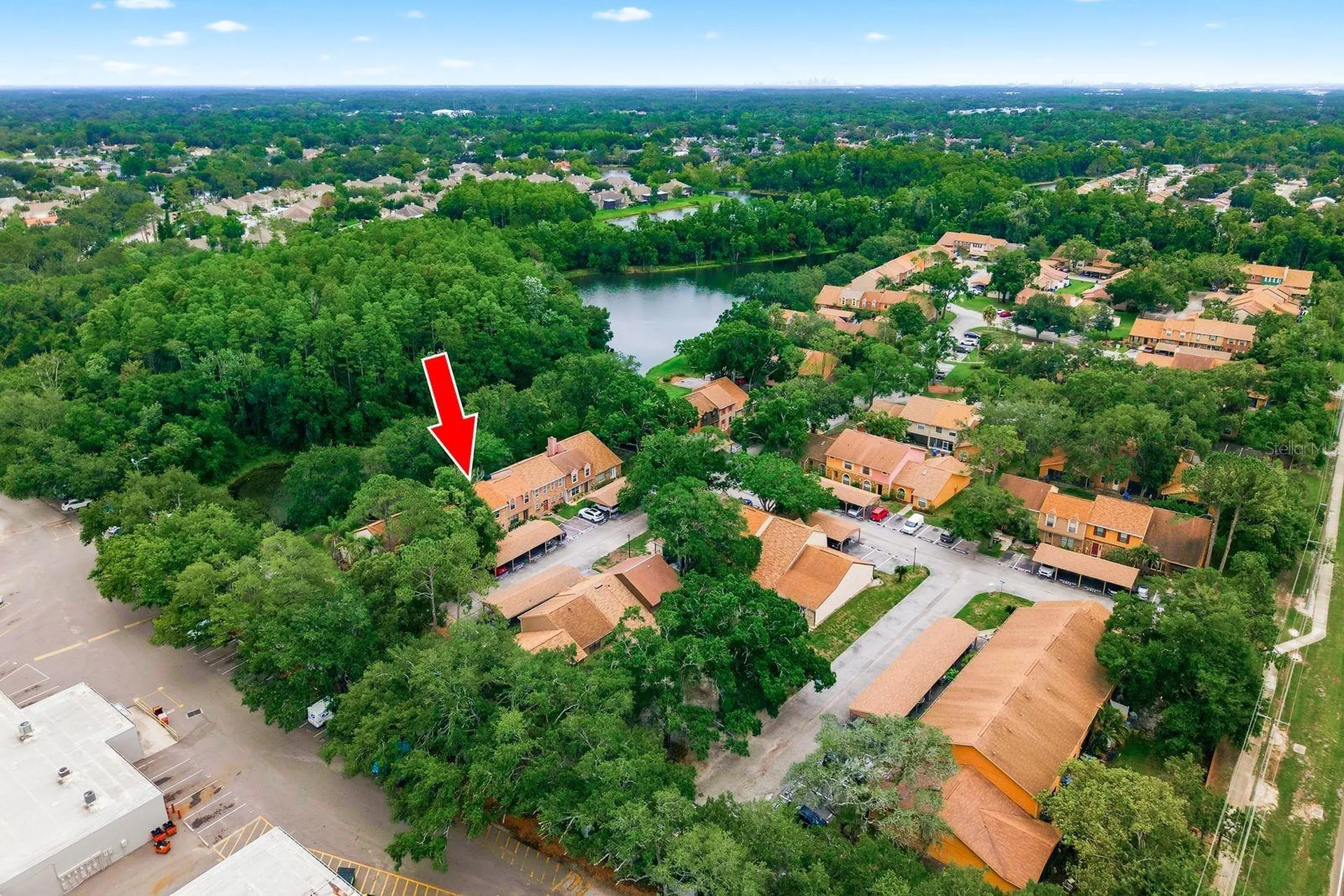 14219 Wellesley Drive Tampa FL 33624