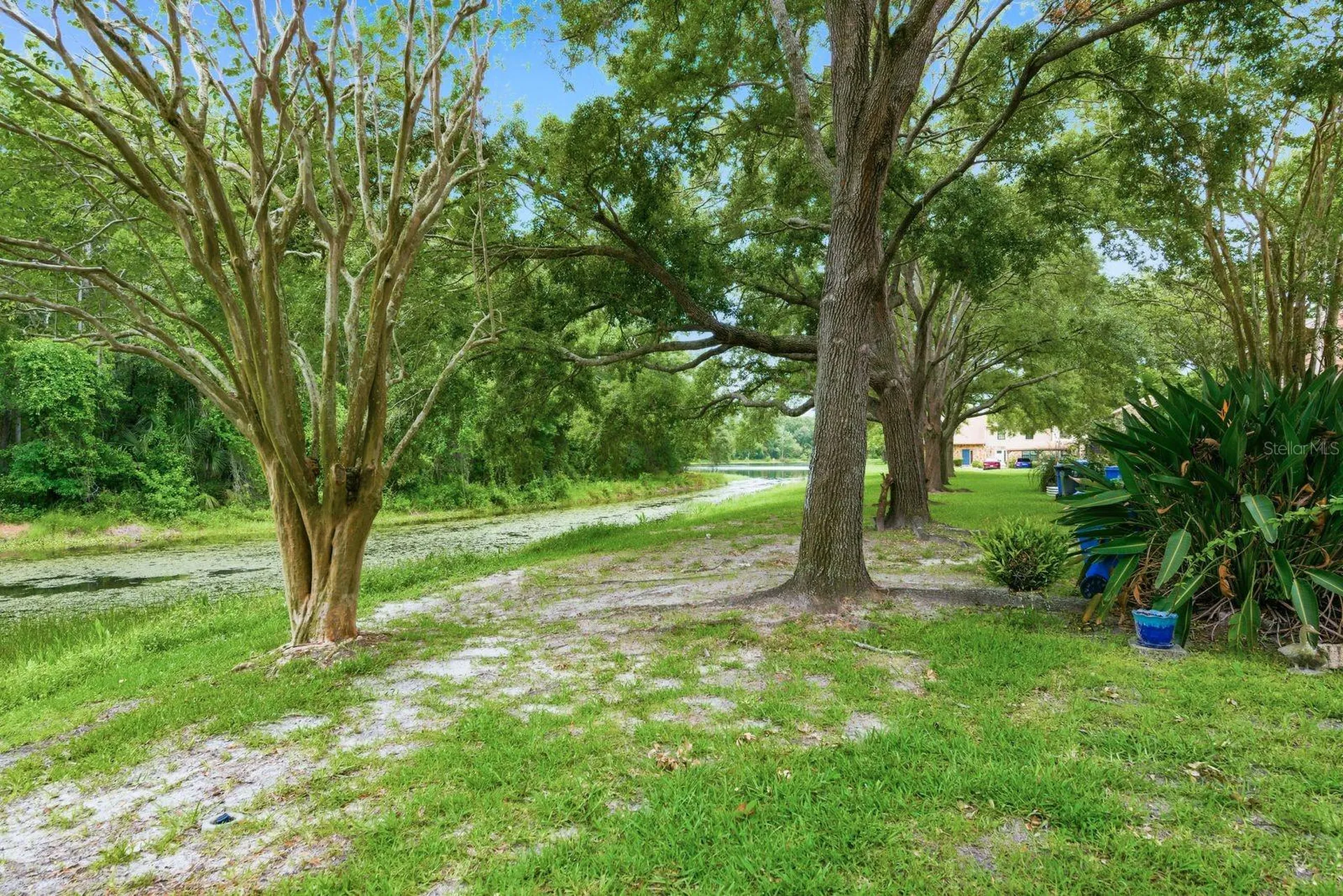 14219 Wellesley Drive Tampa FL 33624