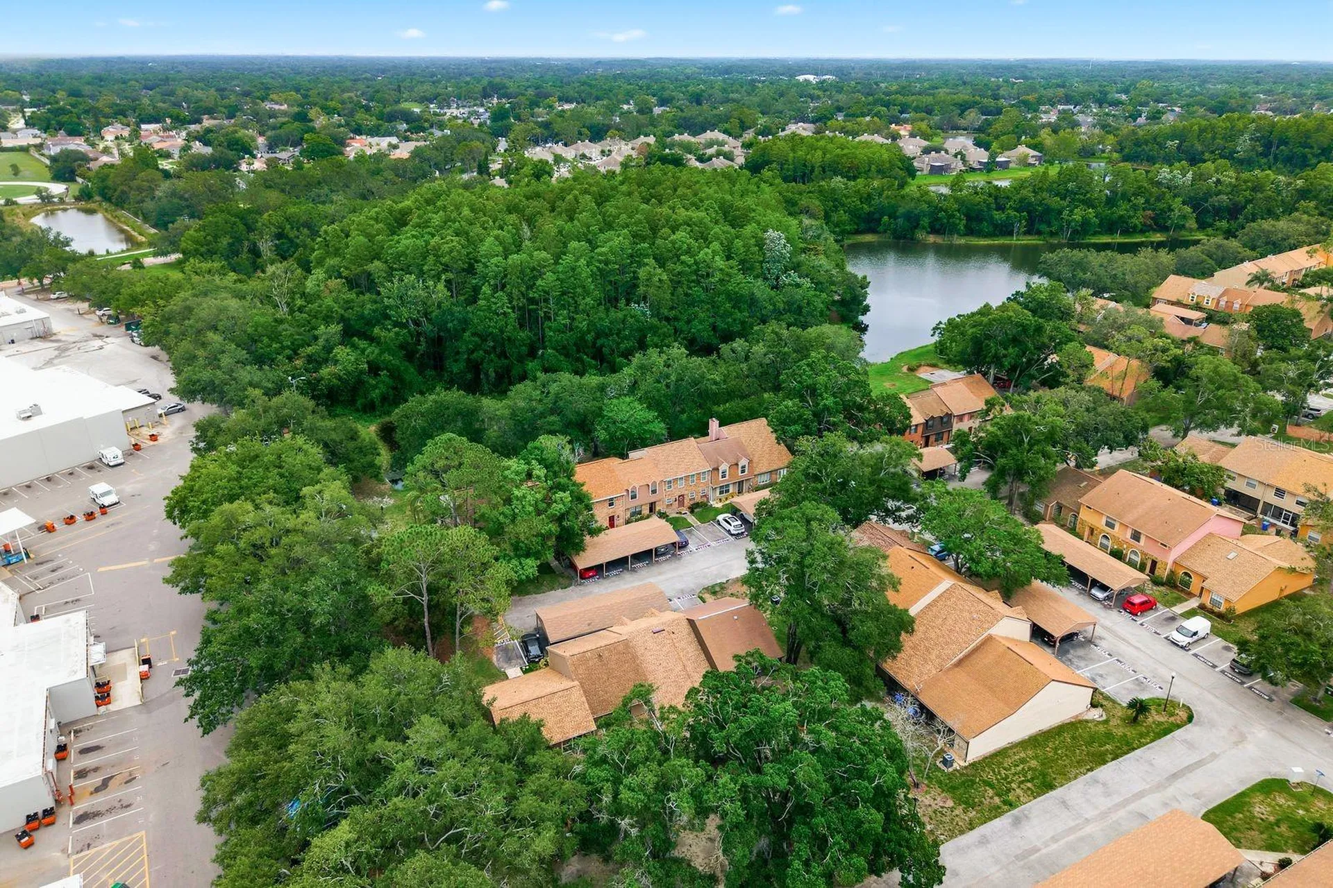 14219 Wellesley Drive Tampa FL 33624