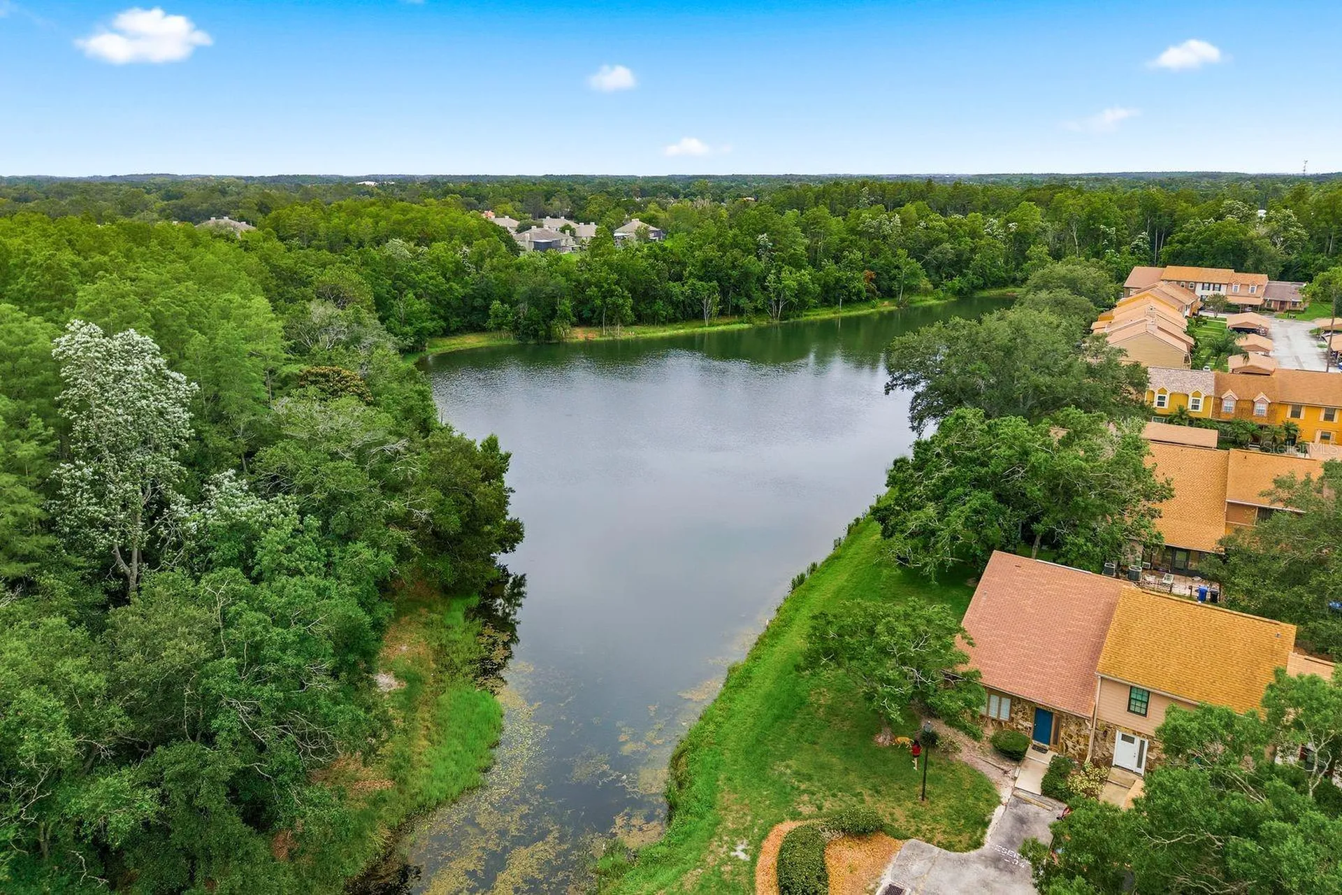 14219 Wellesley Drive Tampa FL 33624