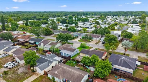 5019 Larch Lane New Port Richey FL 34653