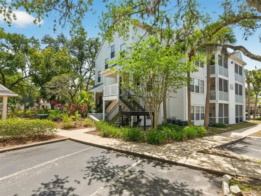 3305 Haviland Court Palm Harbor FL 34684